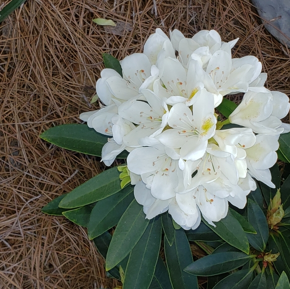 Meet your Posher, Mary - Picture 11 of 16